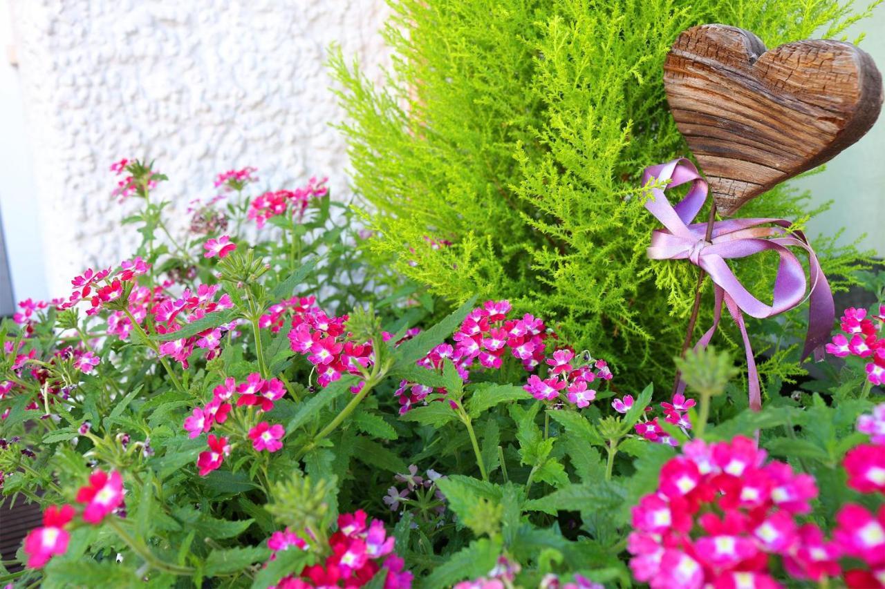 Schenna Garni Eden Bed & Breakfast 외부 사진