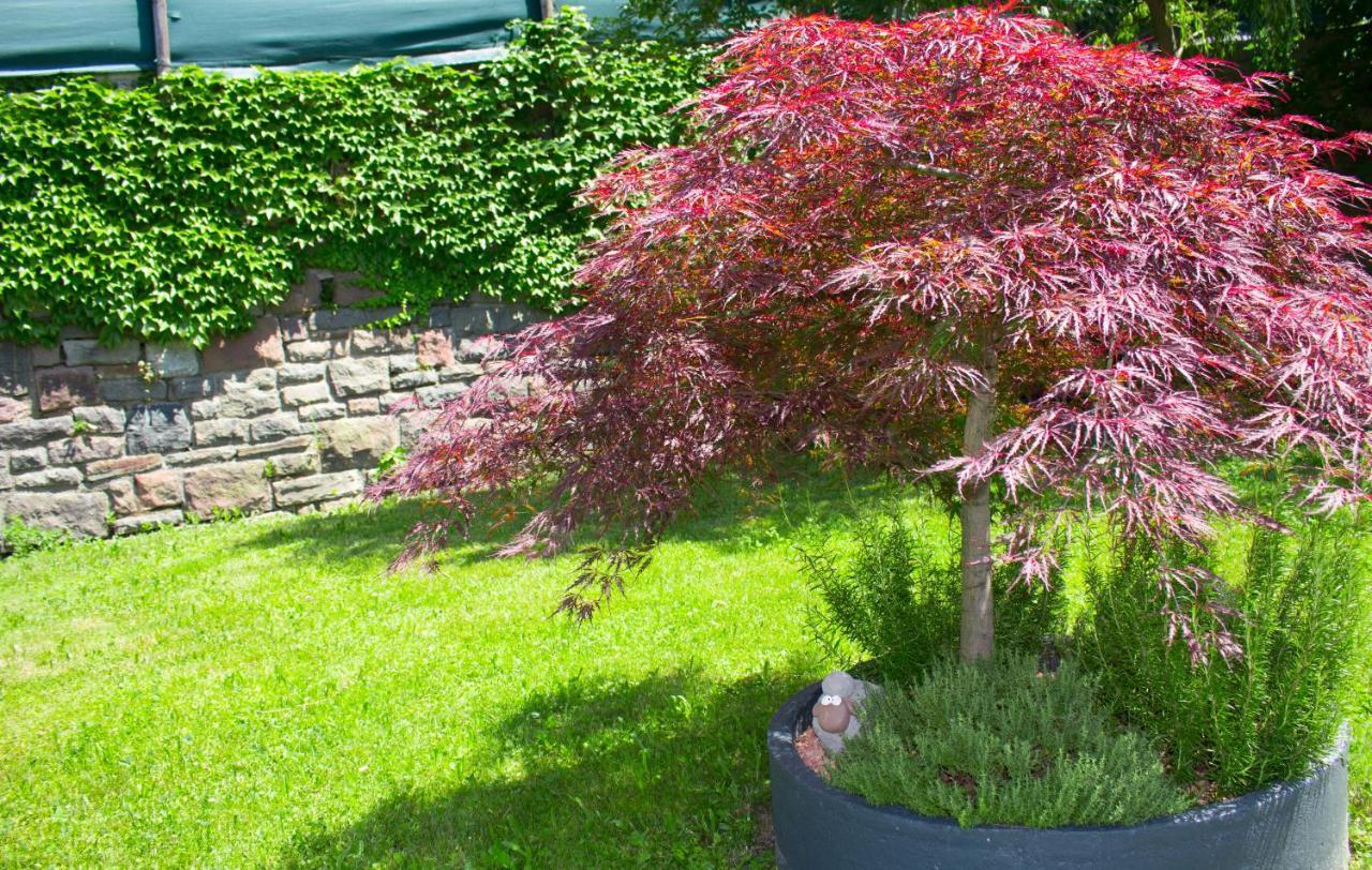 Schenna Garni Eden Bed & Breakfast 외부 사진